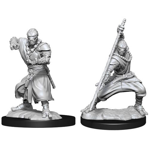 Male Warforged Monk Wave 14