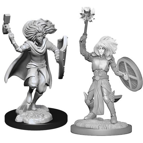 Female Changeling Cleric Wave 14