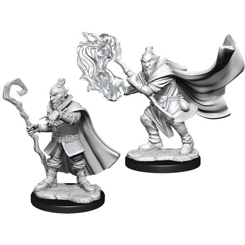 Critical Role Male Hobgoblin Wizard and Druid Wave 1